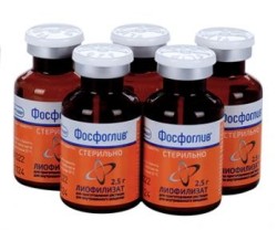 Фосфоглив лиоф. д/р-ра для в/в введ. 2.5 г 5 шт.